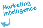 Marketing intelligence